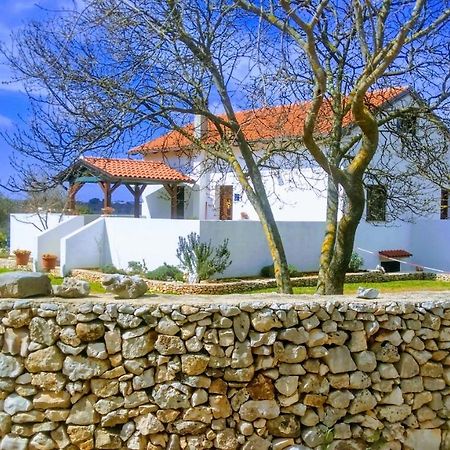 ロヴィニ House Soni - 800 M From The Seaヴィラ エクステリア 写真